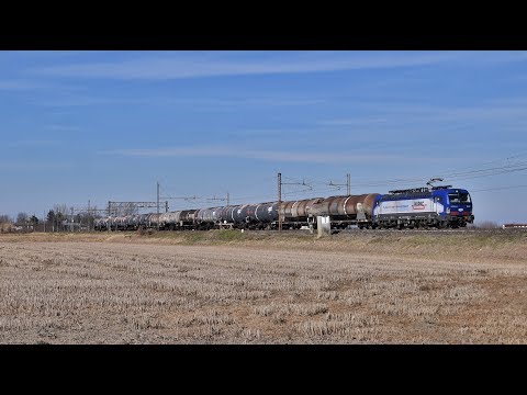 I Treni di Febbraio sulla Novara-Alessandria!