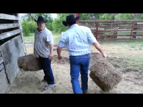 Cowboy Bobby Garrett ..Mexicans stealing our cows and eating our horses