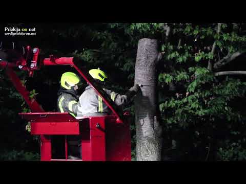 Odstranjevanje sršenov na Sp. Kamenščaku