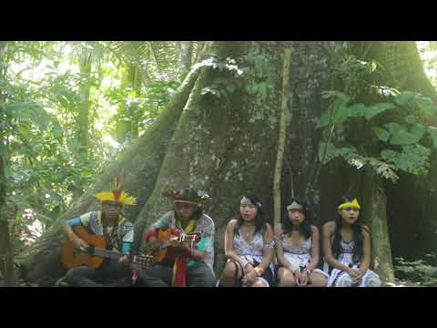 Txana Bai - Rezo sagrado Huni Kuin aos pés da Samauma encantada