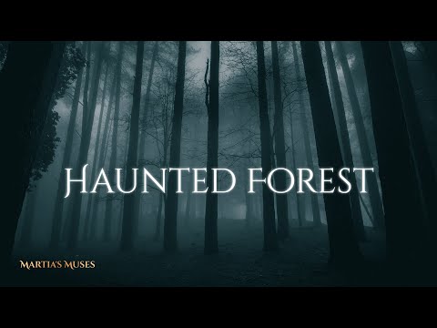 Haunted Forest II Music and Ambience | original ambient music and sounds of spooky forest