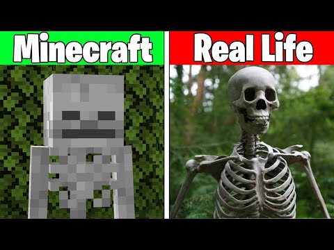 Monster School REALISTIC MINECRAFT: ALL SEASON EPISODE TRAIN SCHOOL HORROR CHALLENGE #386