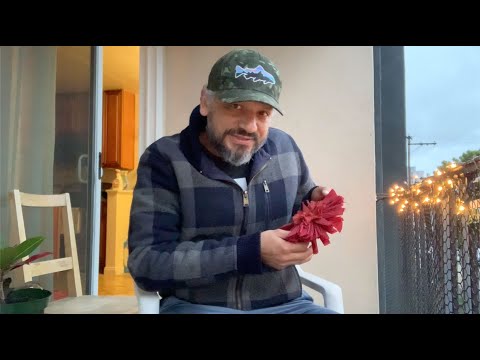 Act Breaks: Jesse Perez performs from Romeo and Juliet