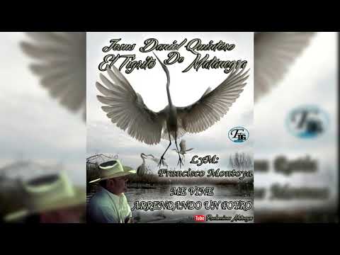 Me Vine Arreando Un Potro - Jesús Daniel Quintero El Tigrito De Matanegra