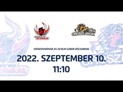 U14 | Dunaújvárosi Acélbikák - Jégoroszlánok