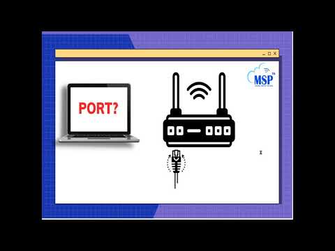MSP: Porto là gì?Công dụng của Porto