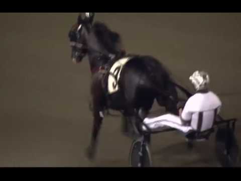 ControlTheMoment,  Meadowlands Pace, , July 16, 2016, Meadowlands