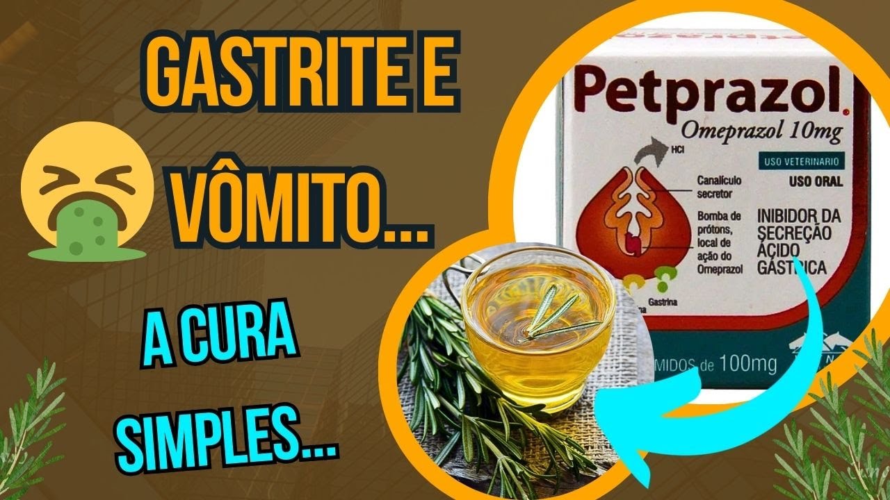 CACHORRO VOMITANDO O QUE FAZER REMÉDIO CASEIRO PARA CURAR GASTRITE MELHOR QUE OMEPRAZOL EM CÃES