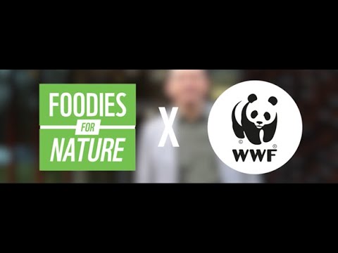 Workshop FFN x WWF - Educatie, communicatie en promotie