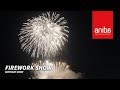 Birthday Fireworks Show