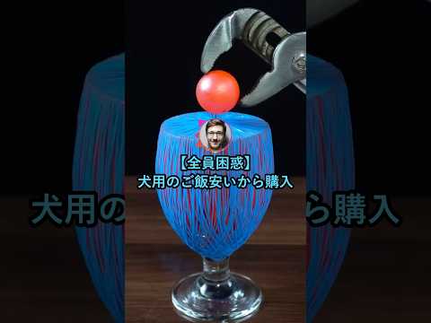 【全員困惑】犬用のご飯が安いから購入した結果【2ch面白いスレ】