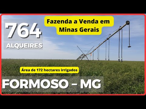 764 ALQ EM FORMOSO - FAZENDA A VENDA EM MINAS GERAIS [🌱DUPLA APTIDÃO🐄] 62.99972-2000 #agro #fazenda