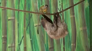 САМЫЕ ТОПОВЫЕ ПРИКОЛЫ МАРТ 2019, СМЕШНО ДО СЛЕЗ, РЖАКА ПРИКОЛЮХА TOP VIDEO FUNNY TO TEARS MARCH