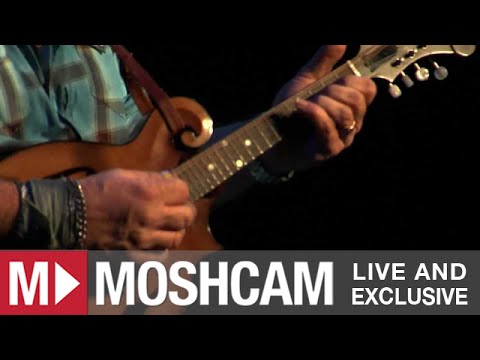 Steve Earle - The Galway Girl (Live in Sydney) | Moshcam