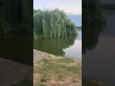 Lacul de pescuit Tiream