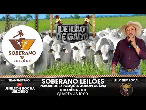 SOBERANO LEILÕES GOIANÉSIA-GO 09/09/2026 JENILSON ROCHA LEILOEIRO