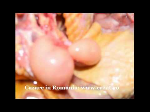 Cazare Buciumeni, Dambovita - Cazat.ro