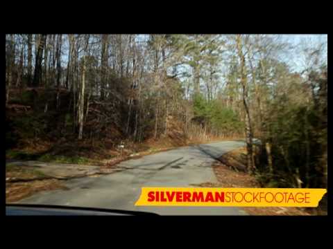 HD Driver POV Forest and Trees