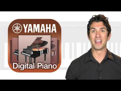 Contemporary Digital Pianos Overview