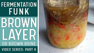 BROWN LAYER or BROWN BRINE on Fermented Vegetables (What's the cause?)