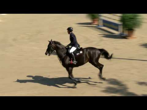 Fest der Pferde 2017 Prf04 01 4817 Hans Dieter Dreher Savita