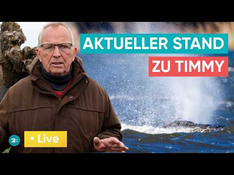 LIVE: Pressekonferenz zu Wal Timmy - Wie gehts ihm wirklich?