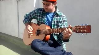 Ceibo - Tano Marciello (Cover) - guitarra acústica fresno luthier