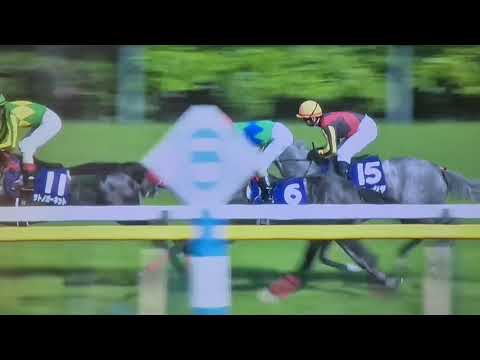 Almond eye-victoria mile-japan