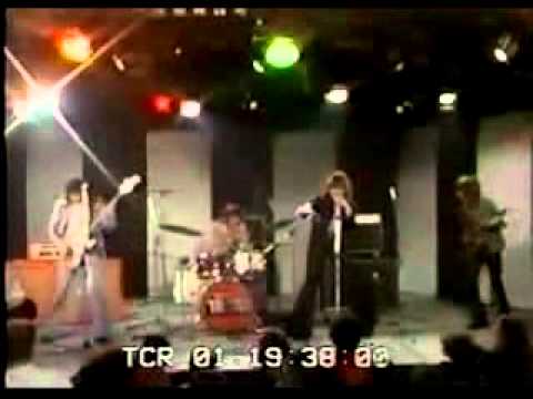 The Troggs   Wild Thing  1973