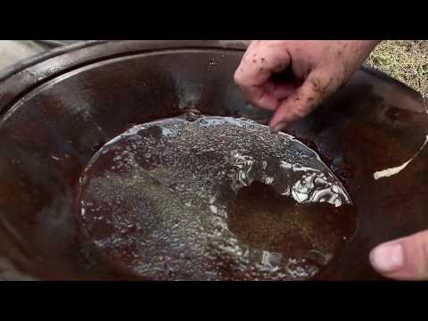 Ophir Gold Panning