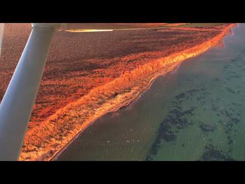 Shark Bay Aviation