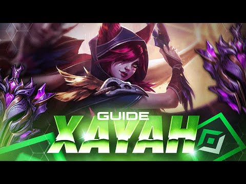 GUIDE XAYAH FR - LA WOODY WOODPECKER BRETONNE