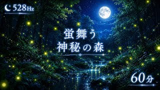 【60分】528Hz 蛍舞う神秘の森｜睡眠・瞑想・リラックスBGM｜ヒーリングミュージック