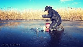 Ловля красноперки по первому льду