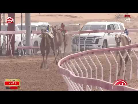 ش 29 (الواريه) لـ سعيد محمد بن مبارك الخييلي 7:49:14  مهرجان الشيخ محمد زايد 2025/12/27 لقايا الذيد