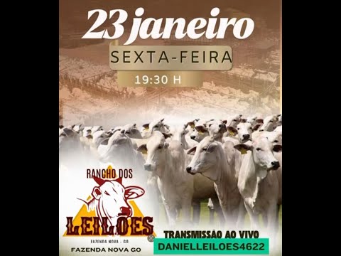 Fazenda Nova  - GO   23/01/2026