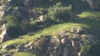 preview picture of video 'II Carrera Subida al Castillo de Burguillos del Cerro'