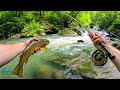 Fly Fishing Heaven The Trout Were Underneath Every Rock