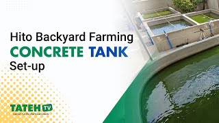 Hito Backyard Farming - Concrete tanks | TatehTV Episode 158
