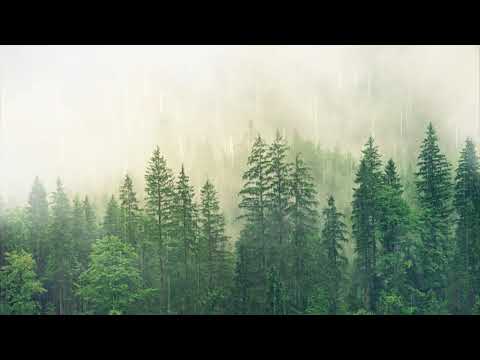 🌲 PNL x DTF x MMZ Cloud Rap Type Beat "la planète" (Prod. Marco Beats)