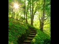 Llewellyn - Hidden Pathways  (Reiki music)