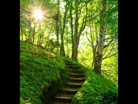 download lagu mp3 mp4 Hidden Pathways, download lagu Hidden Pathways gratis, unduh video klip Hidden Pathways