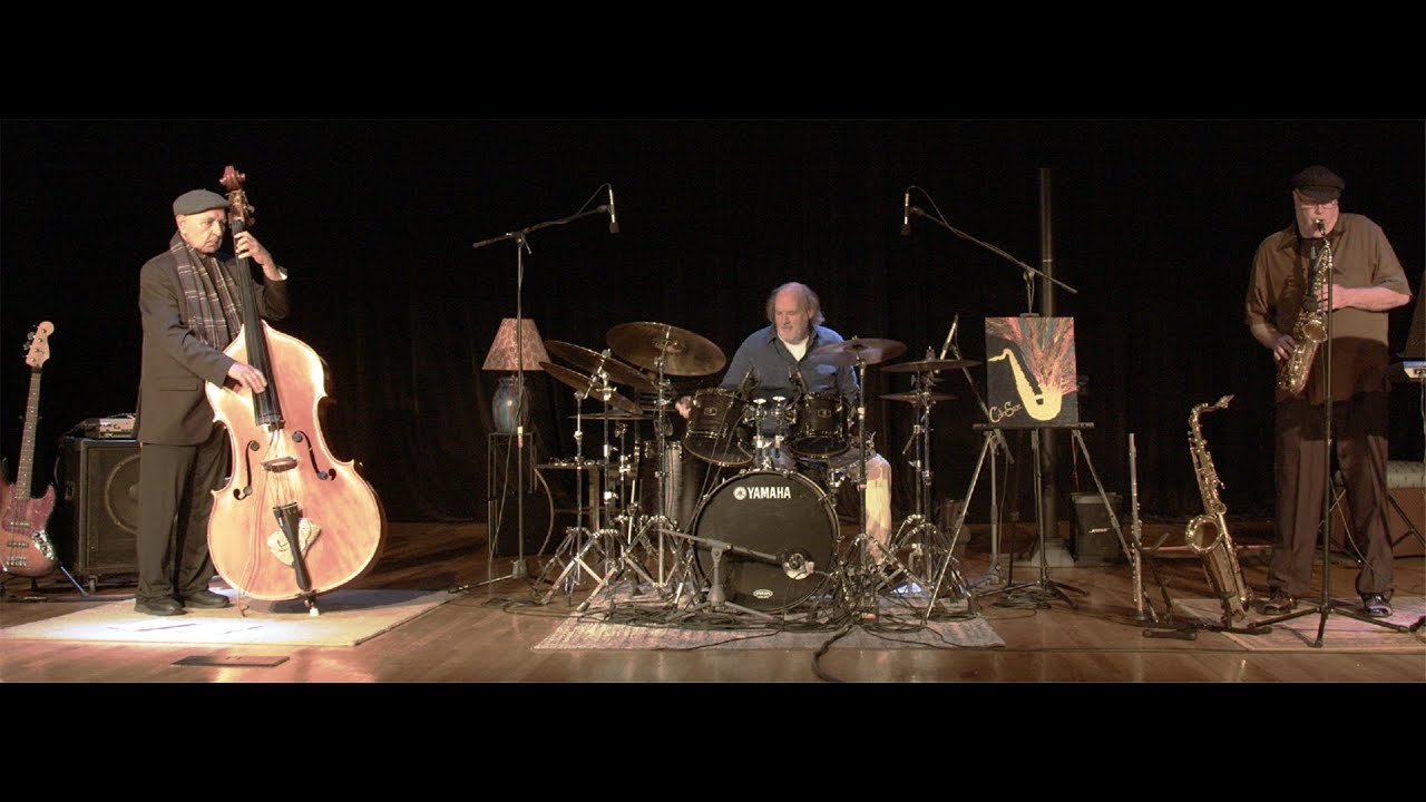 Promotional video thumbnail 1 for ColorSax