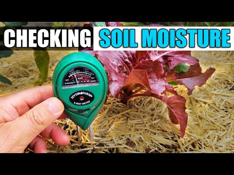 , title : '3 Ways To Check Your Soil Moisture - Garden Quickie Episode 75'