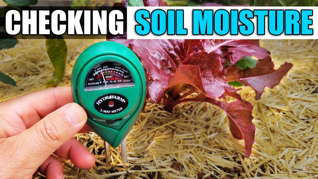 3 Ways To Check Your Soil Moisture - Garden Quickie Episode 75