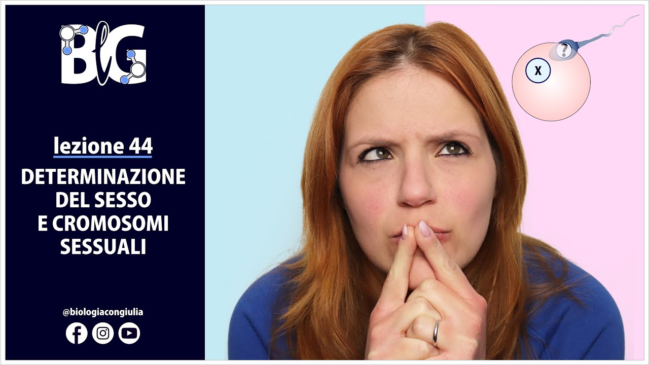 DETERMINAZIONE DEL SESSO e CROMOSOMI SESSUALI - geni associati al cromosoma X (X-linked)