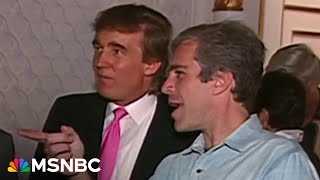 Trump on list of contributors in 'birthday book' Maxwell put together for Epstein: NYT