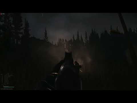 Woods Night Tarkov