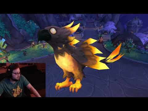 Do Timewalking Firelands for Phoenix Wishwing Now