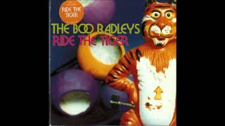 The Boo Radleys - Vote You
